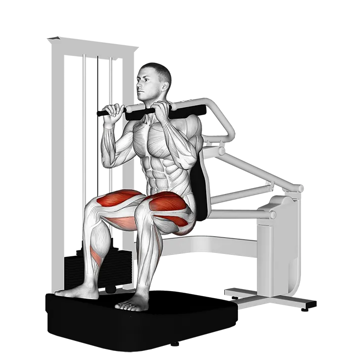 Lever Chair Squat exercise animation (Male)