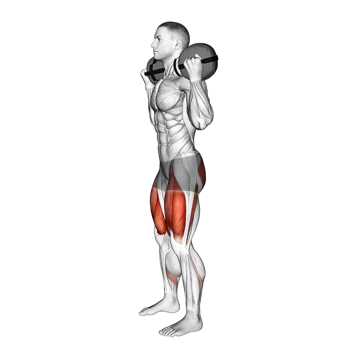 Weighted Sandbag Squat exercise animation (Male)