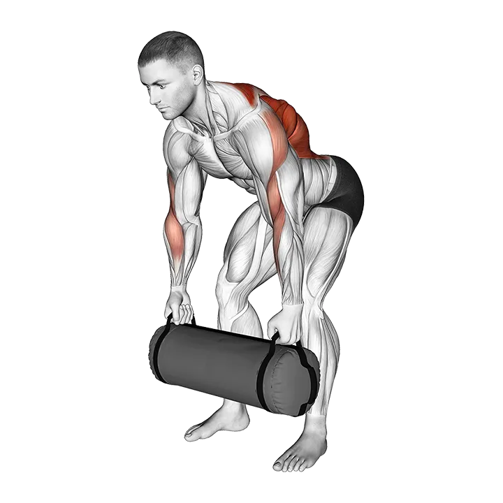 Weighted Sandbag Row exercise animation (Male)