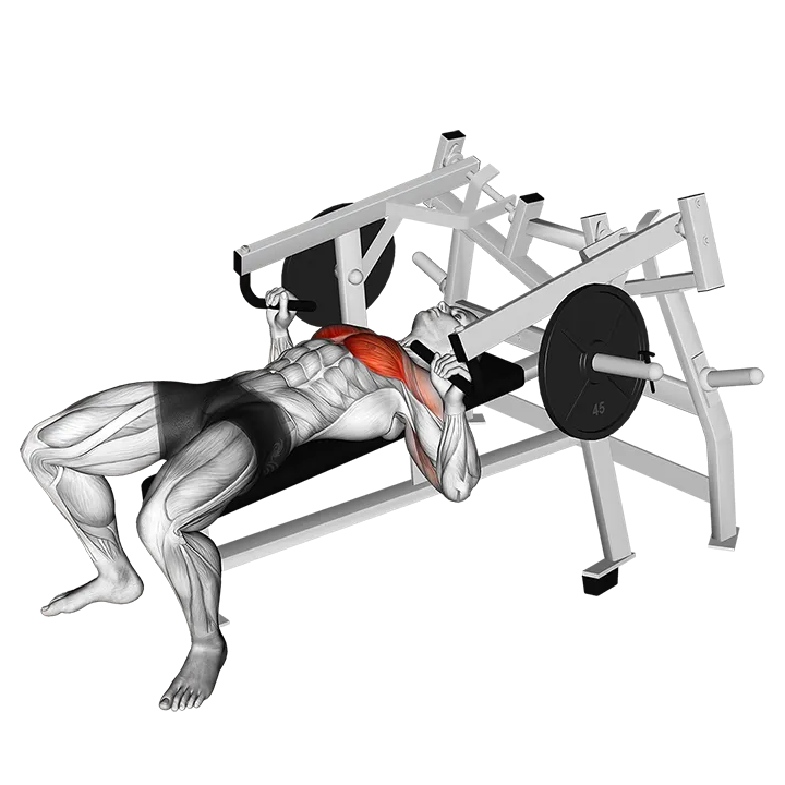 Lever Lying Chest Press (plate loaded) exercise animation (Male)
