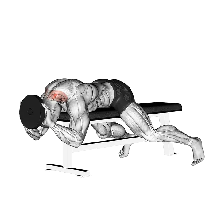 Weighted Lying Neck Extension exercise animation (Male)
