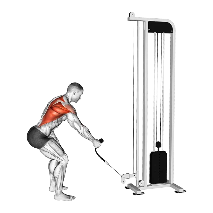 Cable Single Arm Low Row with Rope Attachment exercise animation (Male)