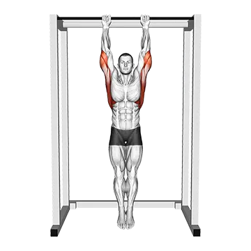 Alternating Dead Hang