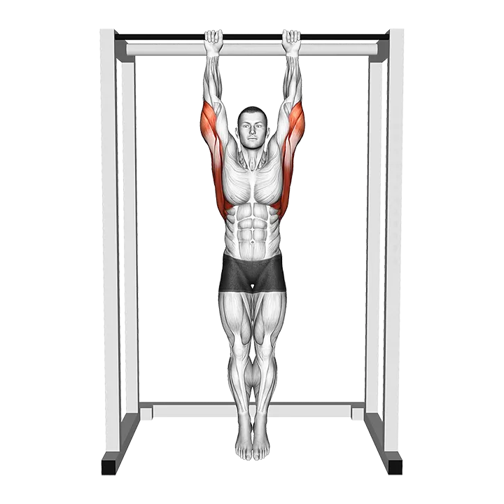 Alternating Dead Hang exercise animation (Male)