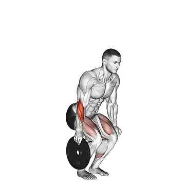 Plate Pinch
