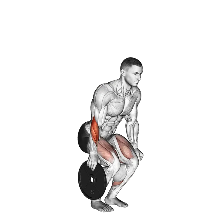 Plate Pinch exercise animation (Male)