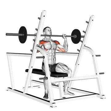 Barbell Seated Military Press (inside squat cage)