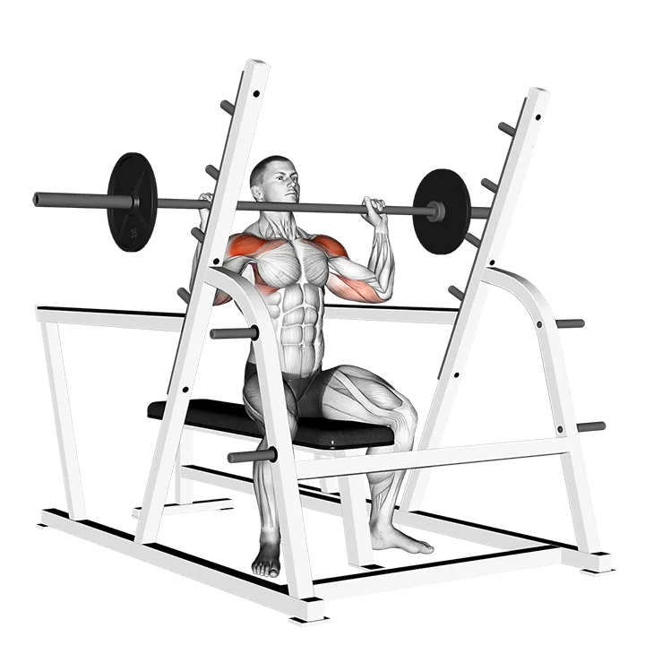 Barbell Seated Military Press (inside squat cage) exercise animation (Male)