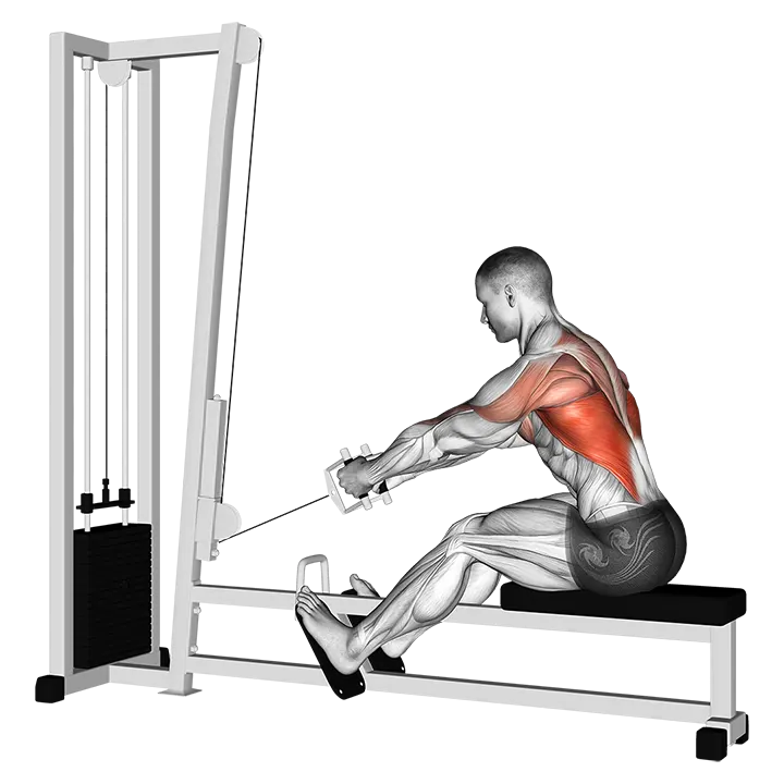 Cable Elevated Row exercise animation (Male)