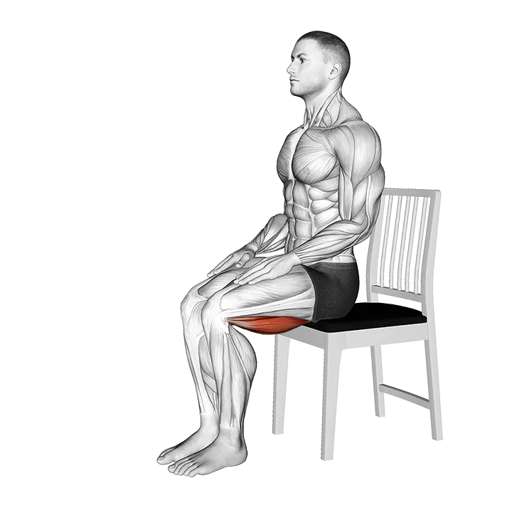 Seated Hamstring Stretch on a Chair exercise animation (Male)