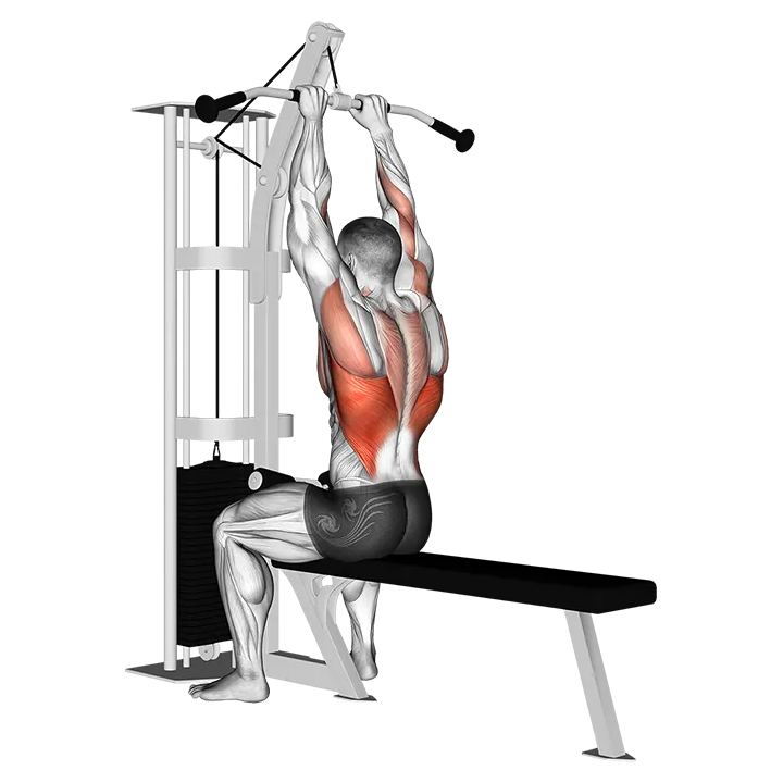 Cable Close-Grip Front Lat Pulldown exercise animation (Male)