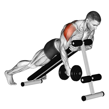 Dumbbell Lying One Arm Rear Lateral Raise