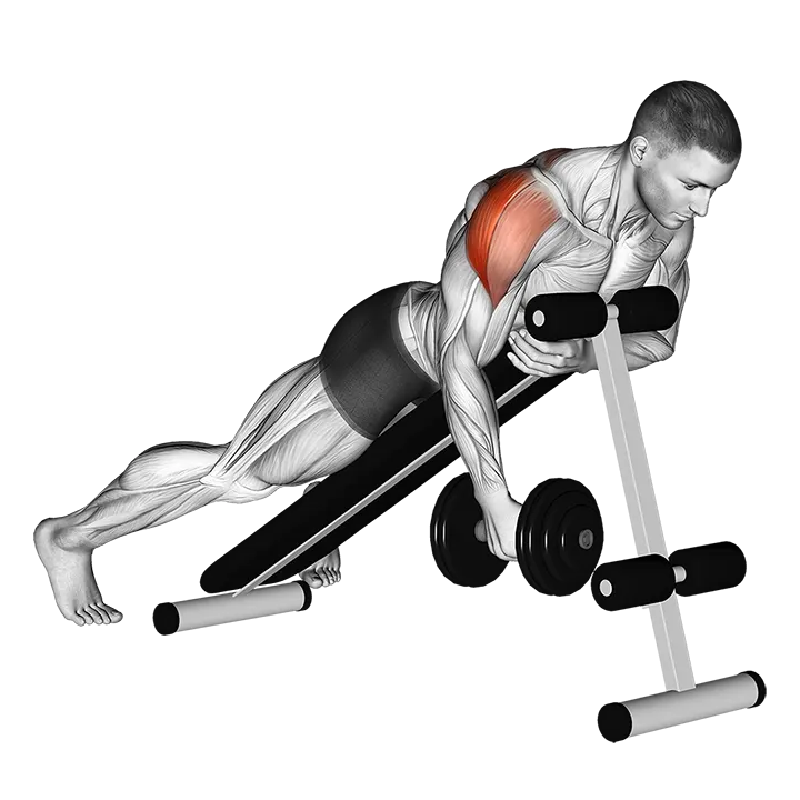 Dumbbell Lying One Arm Rear Lateral Raise exercise animation (Male)