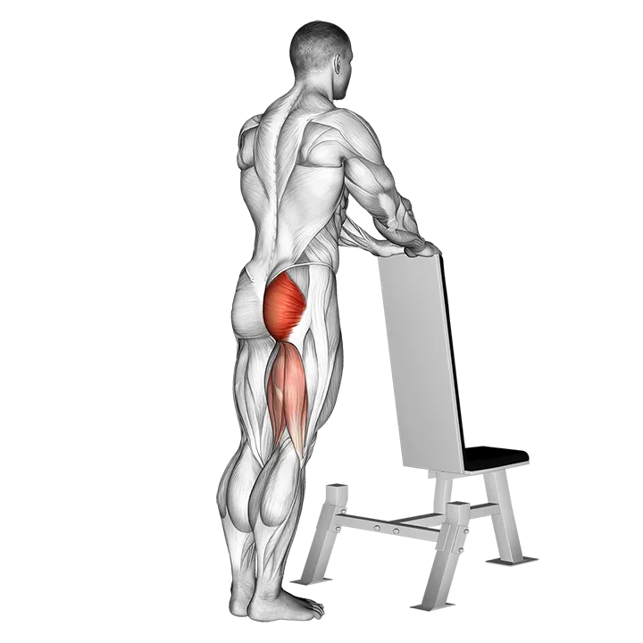 One leg kickback (with bench support) exercise animation (Male)