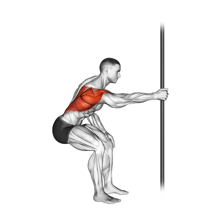 Fixed Bar Back Stretch exercise animation (Male)