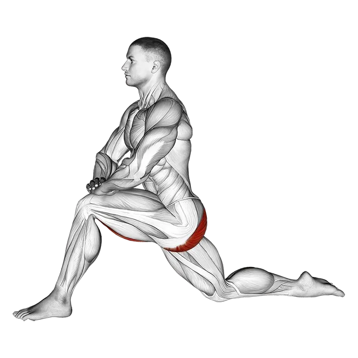 Kneeling Hip Flexor Stretch exercise animation (Male)