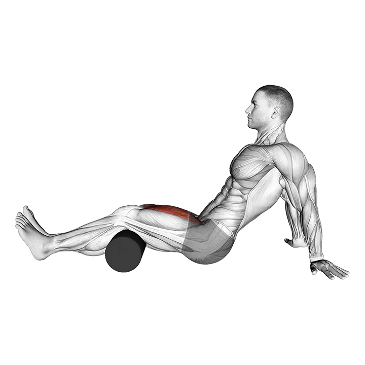 Seated Single Leg Knee Extension exercise animation (Male)