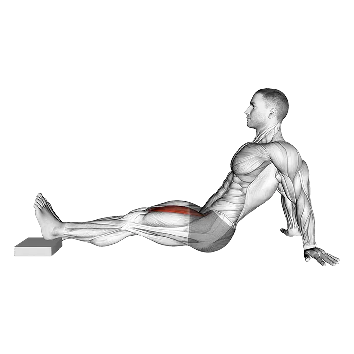 Seated Single Leg Knee Extension (VERSION 2) exercise animation (Male)