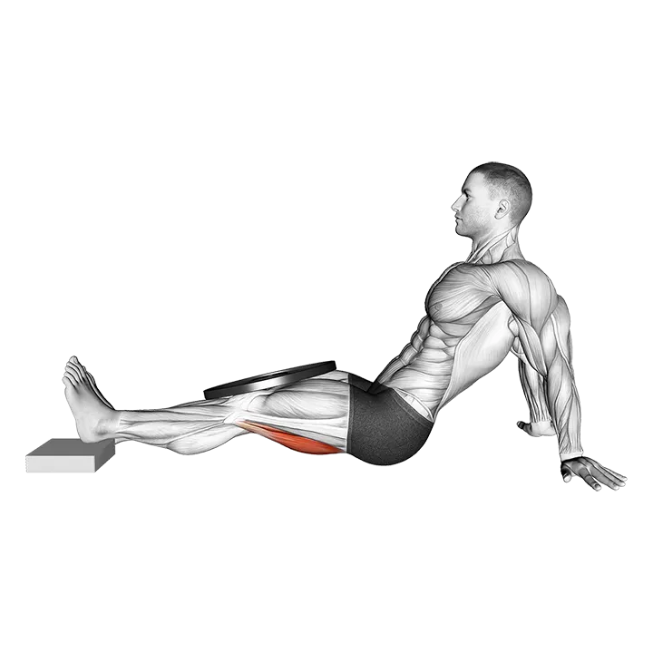 Weighted Seated Single Leg Knee Extension (VERSION 2) exercise animation (Male)