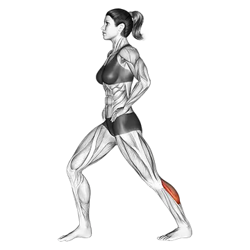 Lunging Straight Leg Calf Stretch