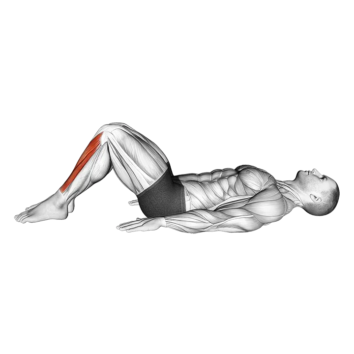 Lying Bent Knee Tibialis Press exercise animation (Male)
