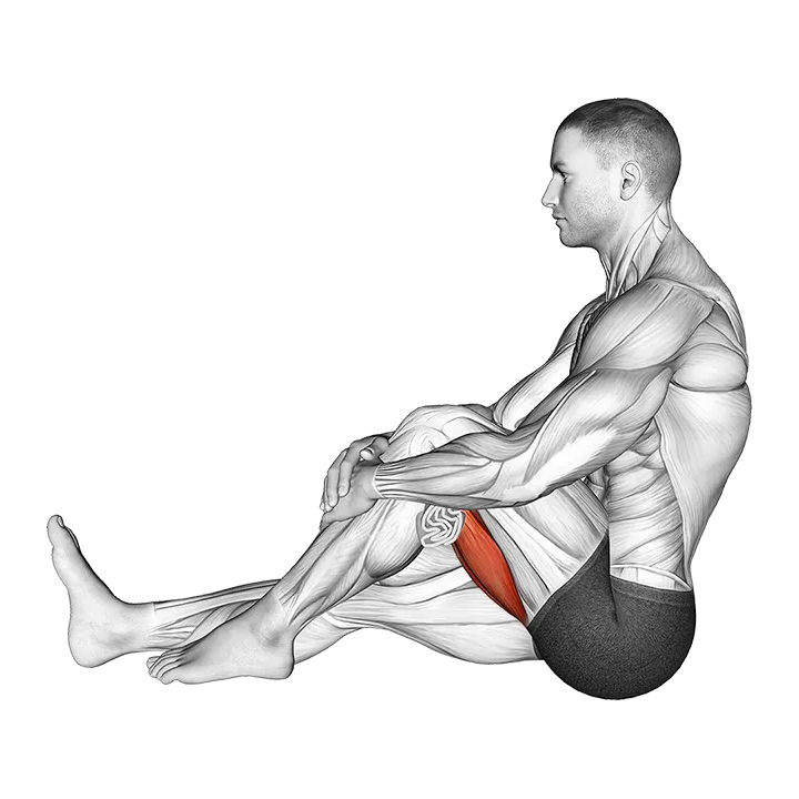 Seated Single Leg Hugging Knee Flexion with Towel exercise animation (Male)