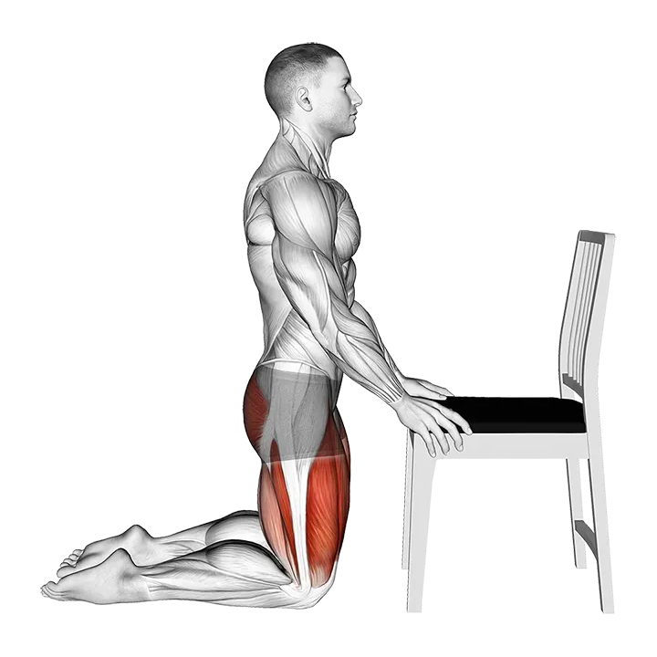 Kneeling Bend Knee Chair Supported exercise animation (Male)