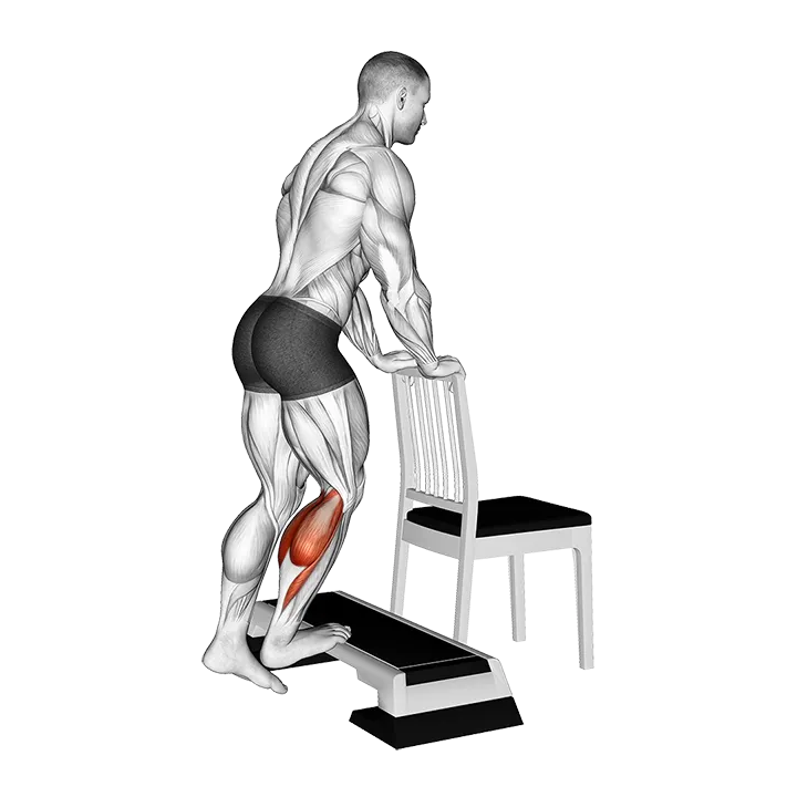 Standing Single Leg Concentration Calf Raise exercise animation (Male)