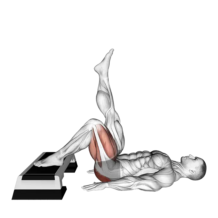 Elevated Single Leg Bridge exercise animation (Male)