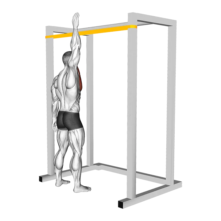 Resistance Band Overhead Hit exercise animation (Male)
