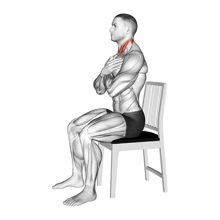 Seated Neck Flexion to Extension on Chair exercise animation (Male)