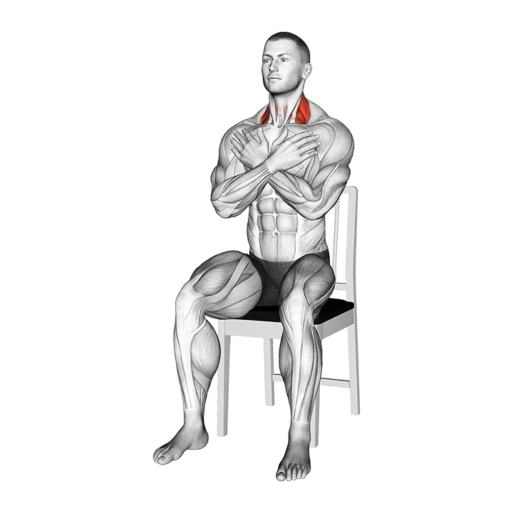 Seated Side to Side Neck Twist on Chair exercise animation (Male)