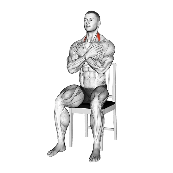 Seated Side to Side Neck Bend on Chair exercise animation (Male)