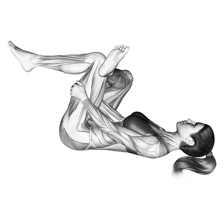 Lying Glute Stretch exercise animation (Female)