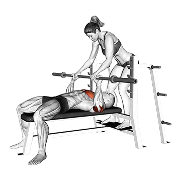 Barbell Bench Press Catch