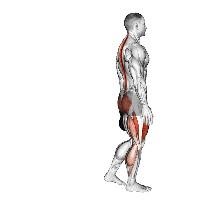 Kettlebell Single Leg Deadlift Pass exercise animation (Male)