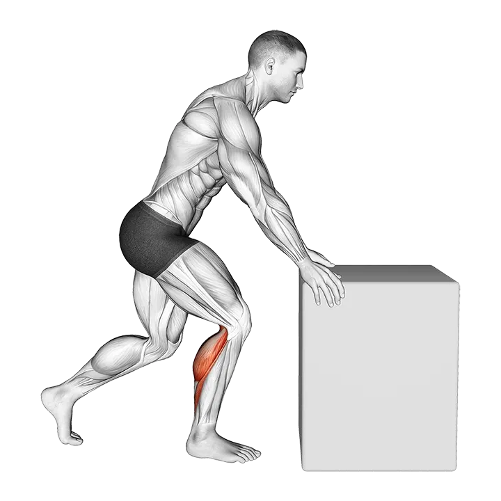 Knee to Box Calf Stretch exercise animation (Male)