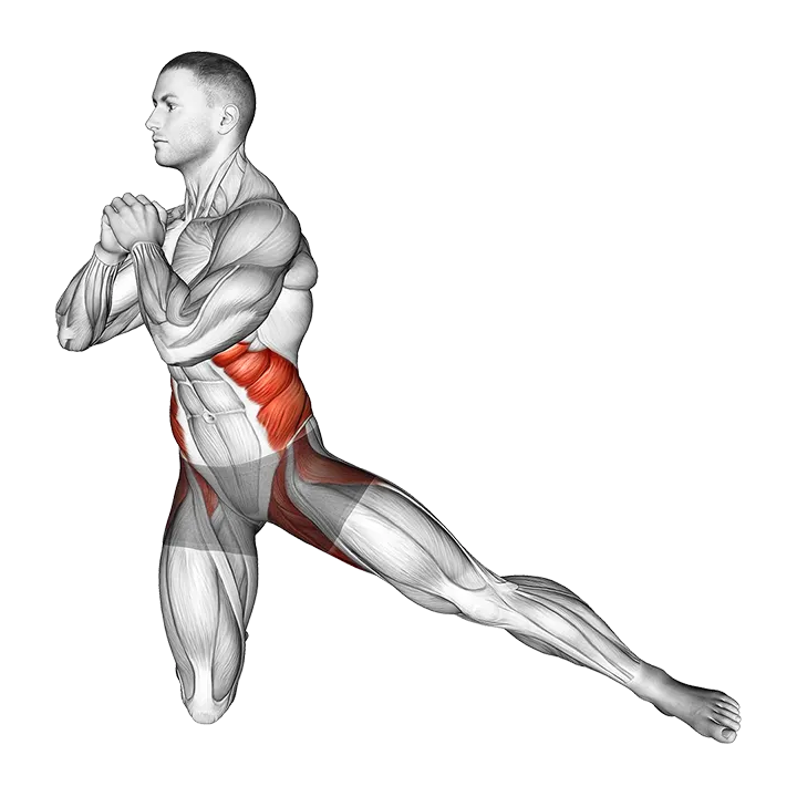 Half Kneeling Torso Twist exercise animation (Male)