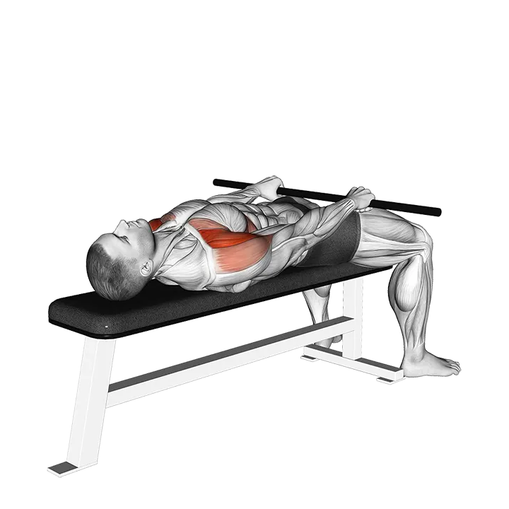 Stick Lying Front Raise exercise animation (Male)