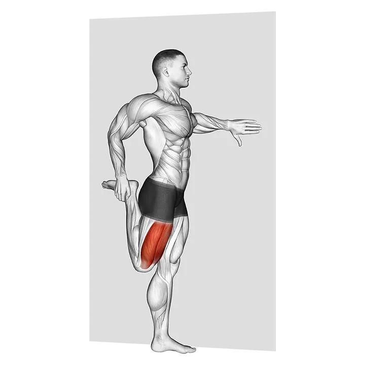 Standing Quadriceps Stretch exercise animation (Männlich)