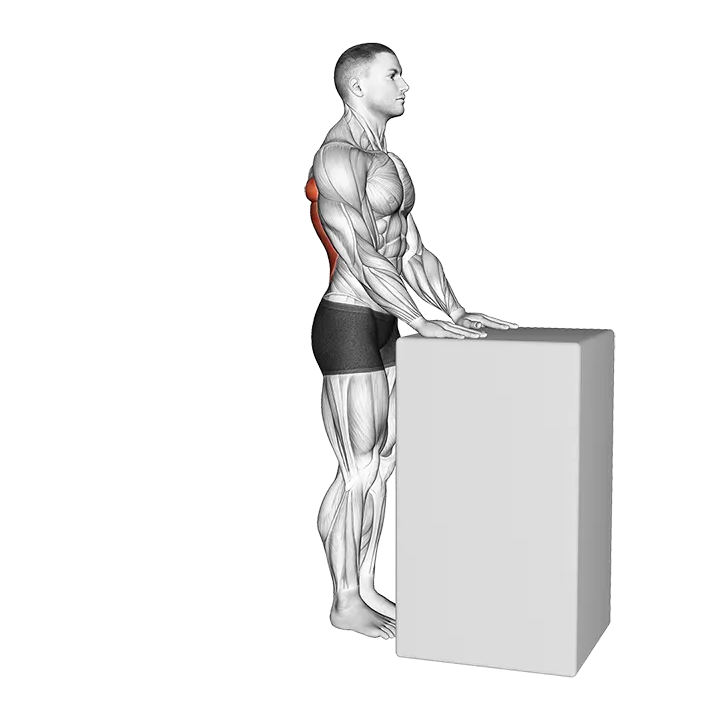 Walkout Lat Stretch exercise animation (Male)