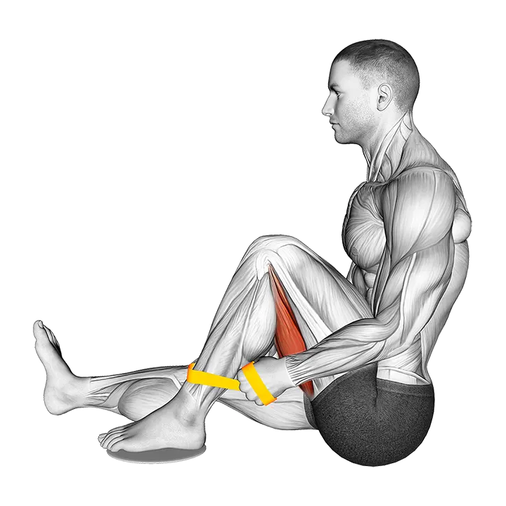 Resistance Band Seated Single Leg Hugging Knee Flexion exercise animation (Male)