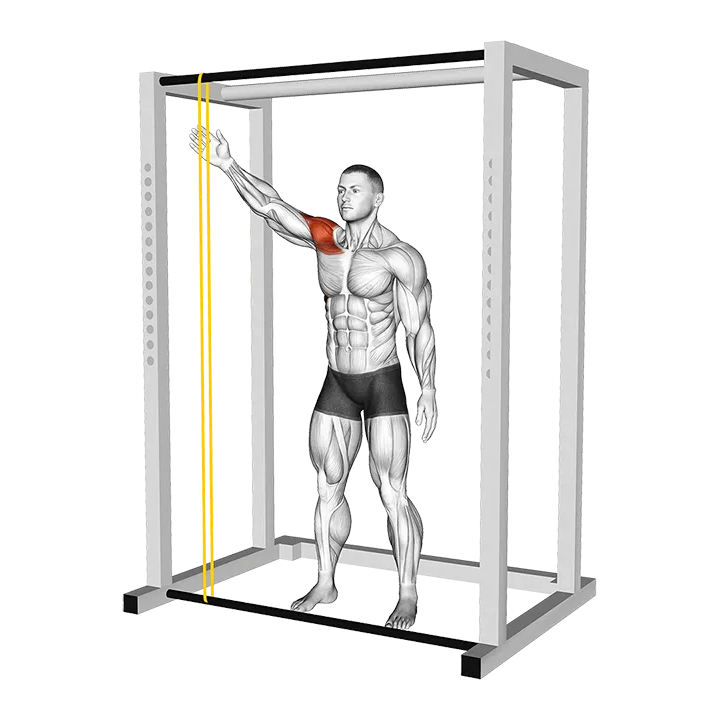 Resistance Band Lateral Hit exercise animation (Male)