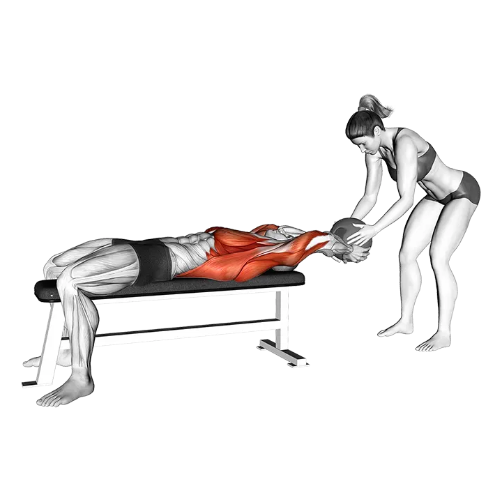 Medicine Ball Pullover Catch exercise animation (Männlich)