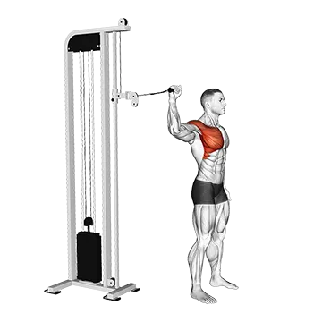 Cable 90 degrees Internal Rotation Catch