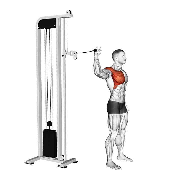 Cable 90 degrees Internal Rotation Catch exercise animation (Male)