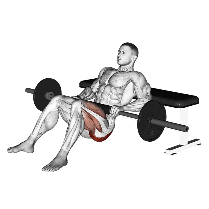Barbell one leg hip thrust exercise animation (Male)
