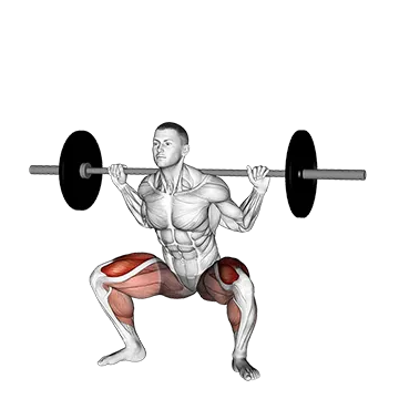 Barbell sumo squat