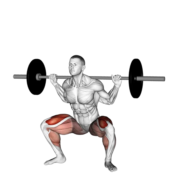 Barbell sumo squat exercise animation (Male)