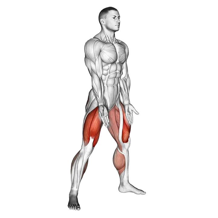 Sumo Squat exercise animation (Male)